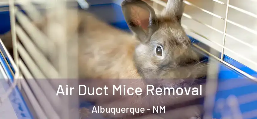 Air Duct Mice Removal Albuquerque - NM