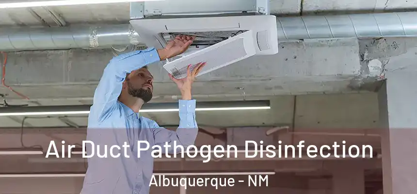 Air Duct Pathogen Disinfection Albuquerque - NM