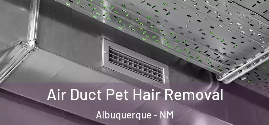 Air Duct Pet Hair Removal Albuquerque - NM