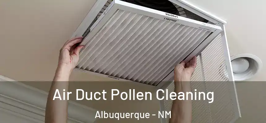  Air Duct Pollen Cleaning Albuquerque - NM