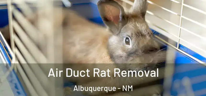  Air Duct Rat Removal Albuquerque - NM