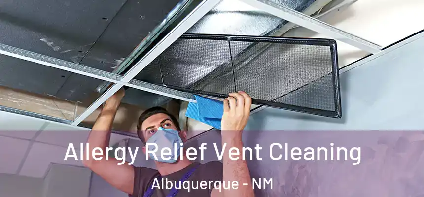 Allergy Relief Vent Cleaning Albuquerque - NM