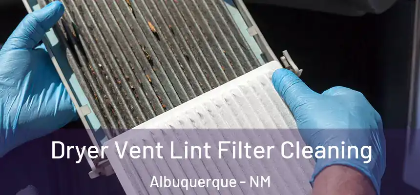 Dryer Vent Lint Filter Cleaning Albuquerque - NM