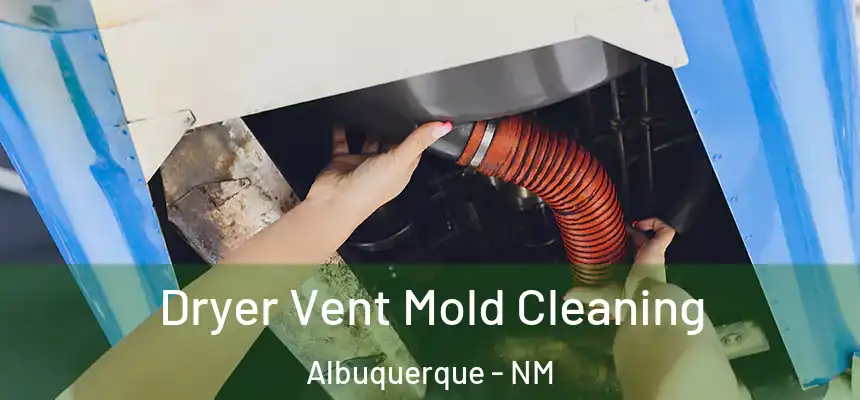 Dryer Vent Mold Cleaning Albuquerque - NM