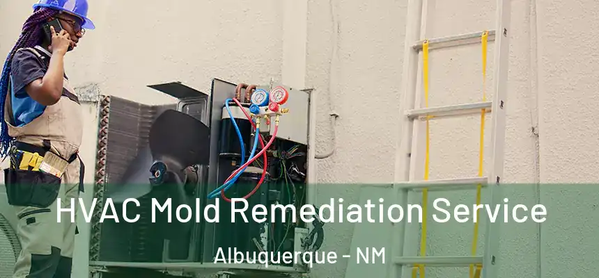  HVAC Mold Remediation Service Albuquerque - NM