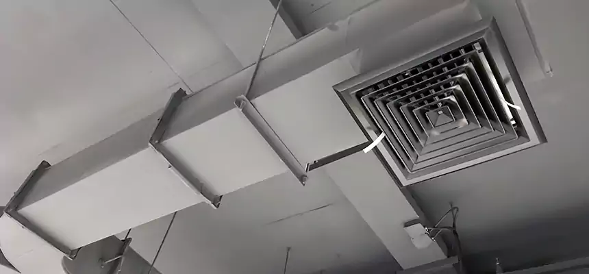 Restorative Allergy Relief Vent Cleaning – Coil, Blower & Housing Detail in Albuquerque