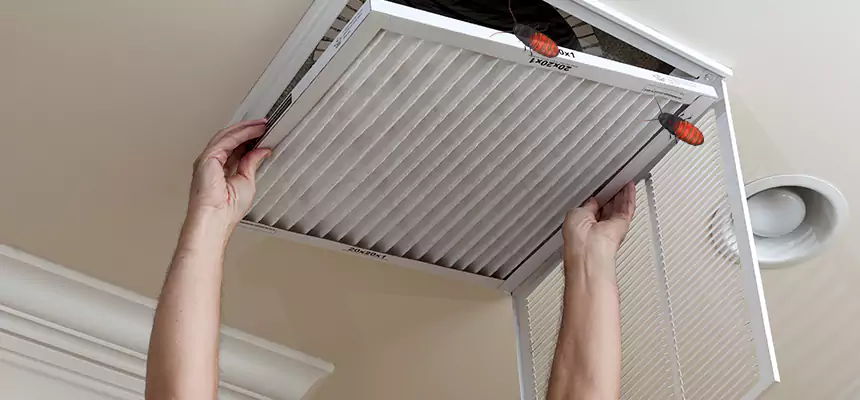Our Insect Removal from Air Ducts Services in Albuquerque, NM