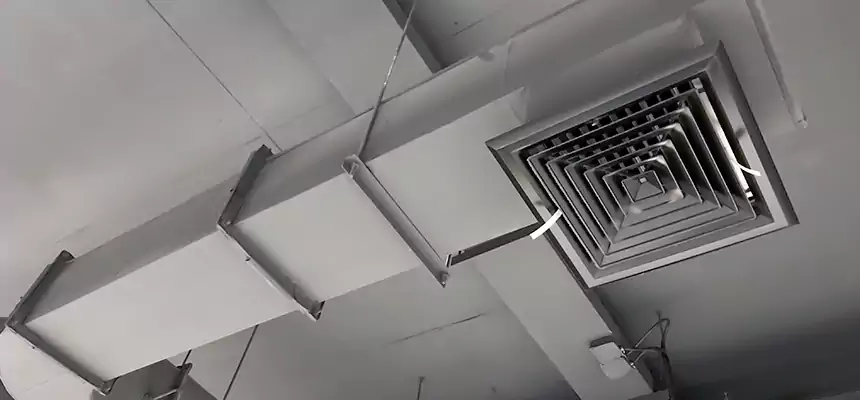 Our Pest Removal From Ducts Services in Albuquerque, NM