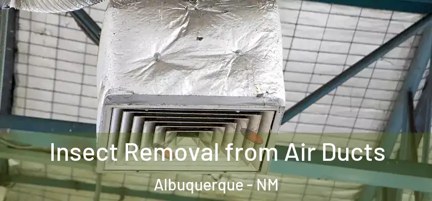  Insect Removal from Air Ducts Albuquerque - NM
