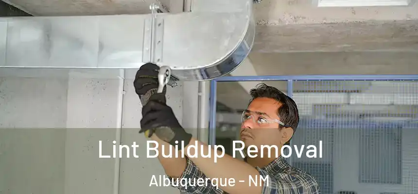 Lint Buildup Removal Albuquerque - NM