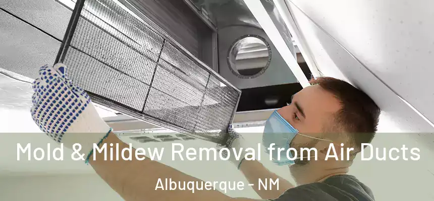  Mold & Mildew Removal from Air Ducts Albuquerque - NM