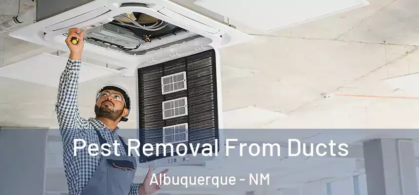 Pest Removal From Ducts Albuquerque - NM