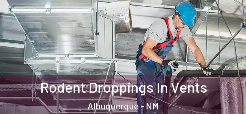  Rodent Droppings In Vents Albuquerque - NM