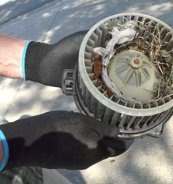 About Air Duct Mice Removal in Albuquerque, NM