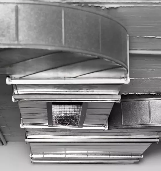 Professional Air Duct Pest Removal in Albuquerque, NM