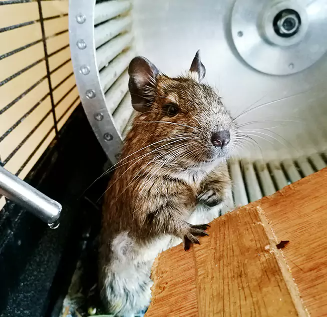 Why Homeowners & Businesses Trust Us Albuquerque, NM?