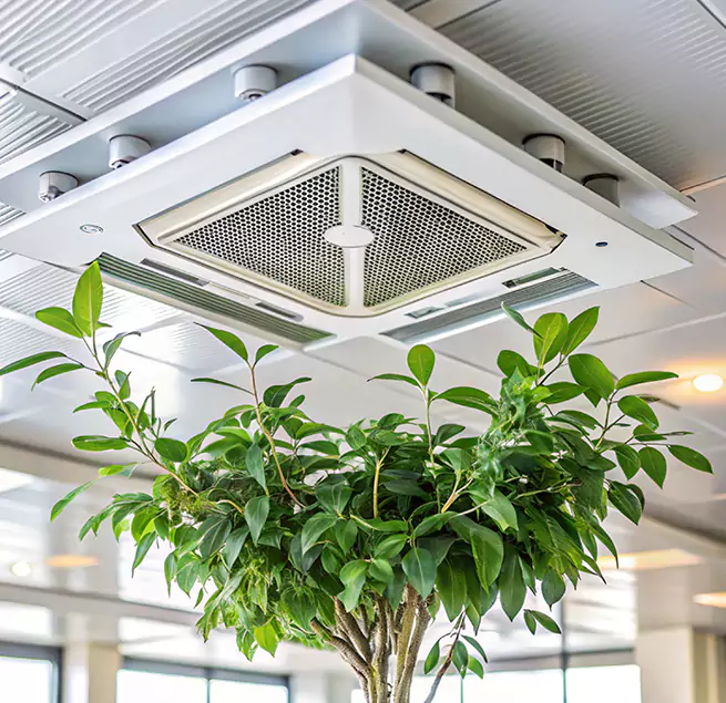 Why Homeowners & Businesses Trust Us in Albuquerque, NM